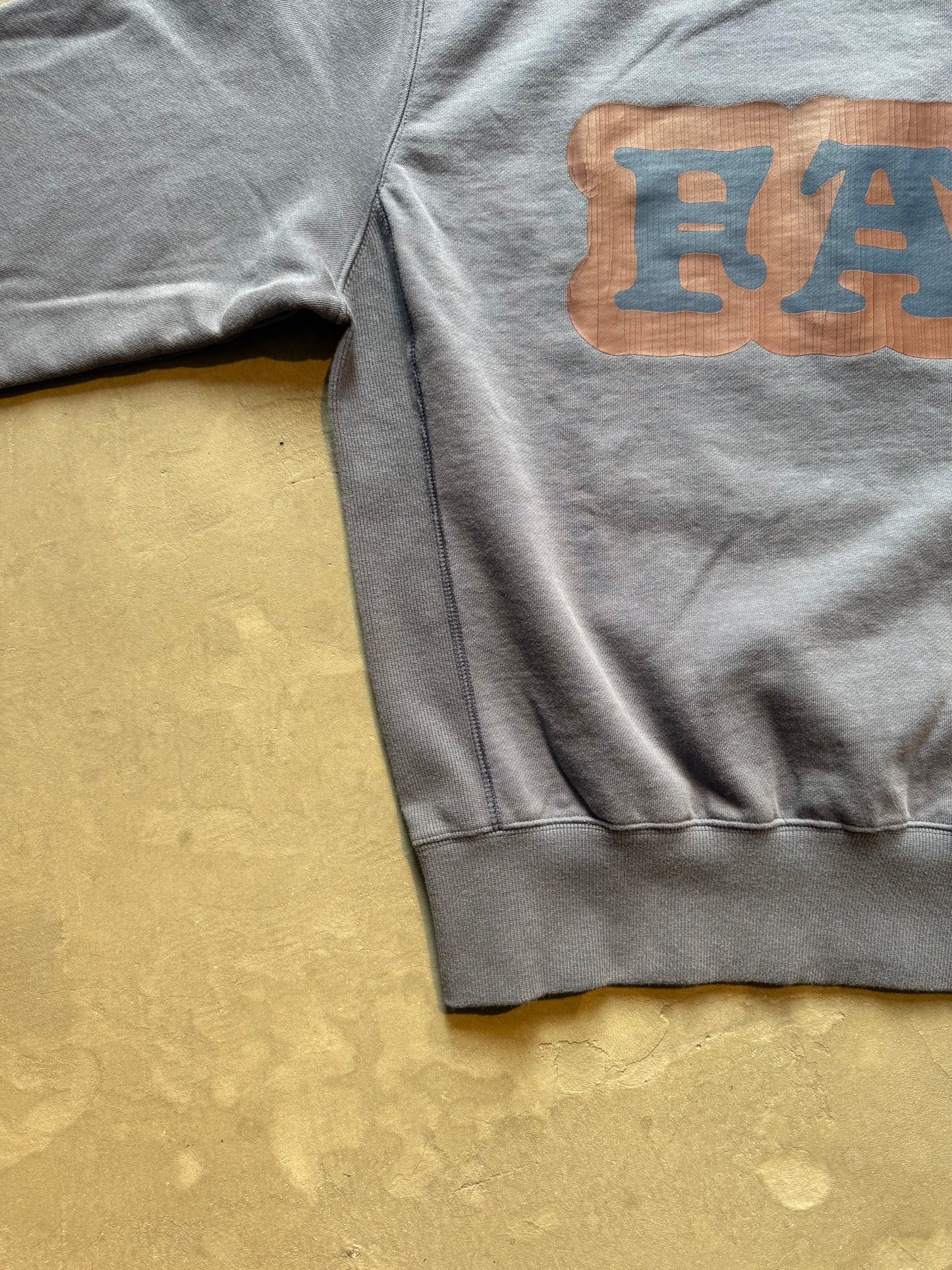 FAKE AS FLOWERS/Cracked Commercial Logo Crewneck Sweat