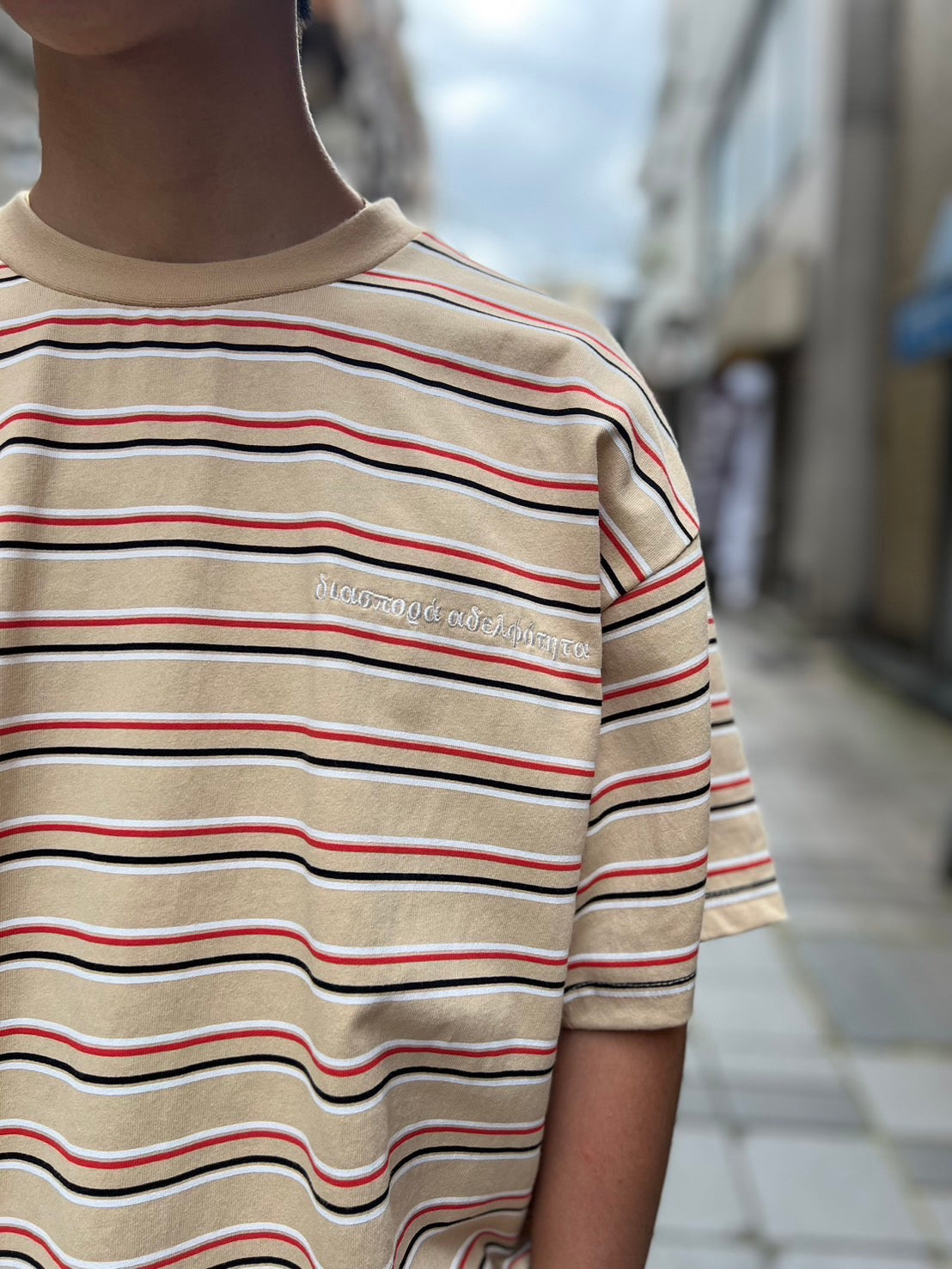 Diaspora skateboards/Printed Stripe S/S Top(Pink Beige)