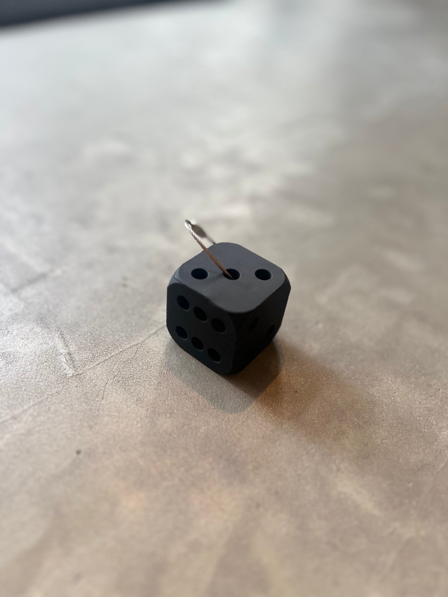 FAKE AS FLOWERS/Dice Key Ring