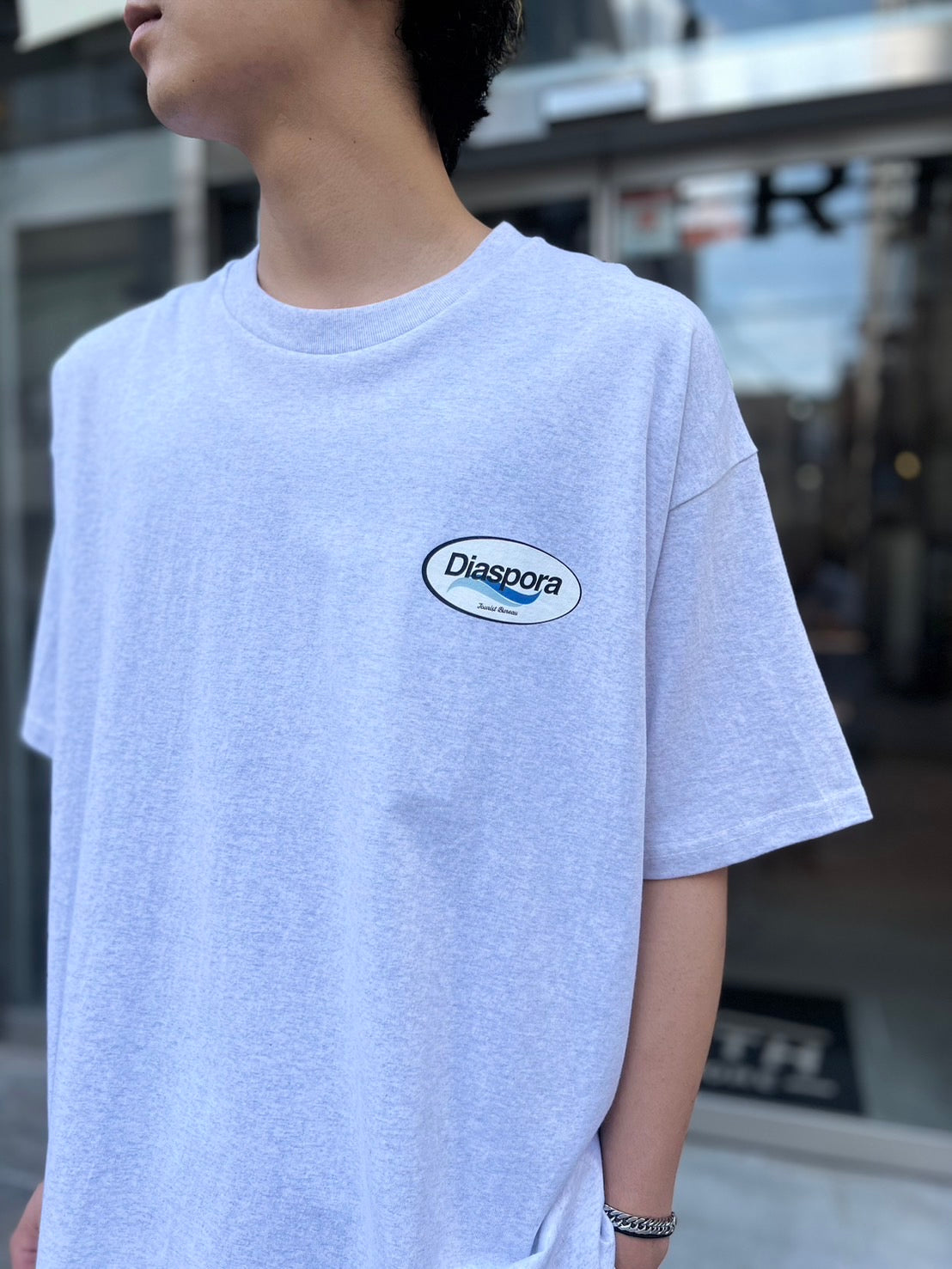 Diaspora skateboards/Agent Tee(White/Steam)